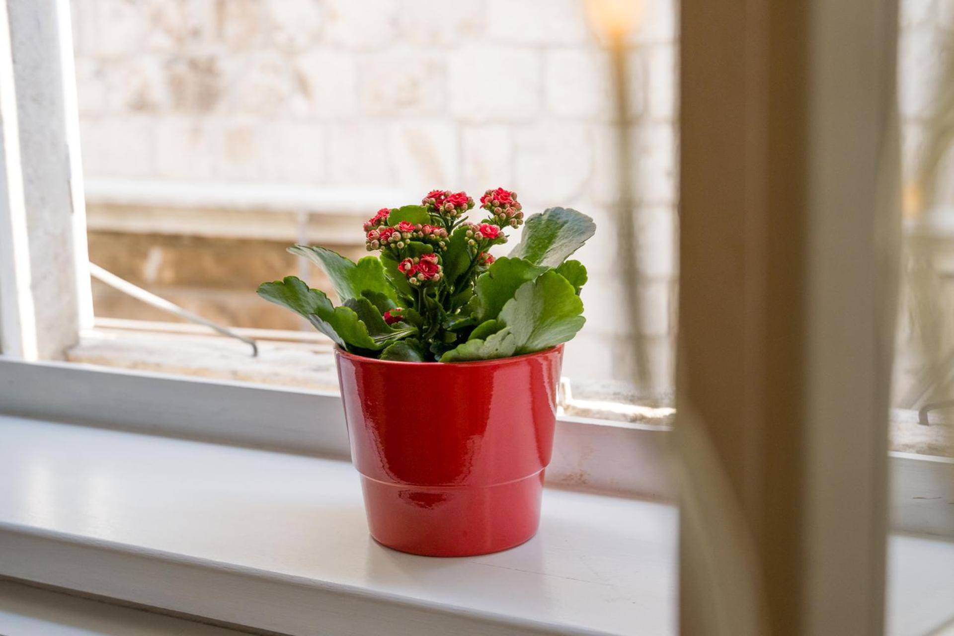 Nije Presa Apartment 2 Dubrownik Zewnętrze zdjęcie